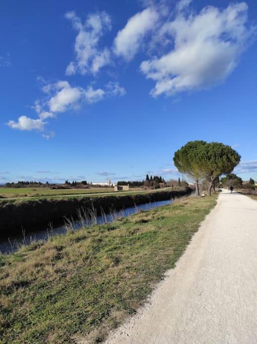 Mobil-Home Dans Un Beau Cadre A 15 Km Des Plages. Lunel  Bagian luar foto